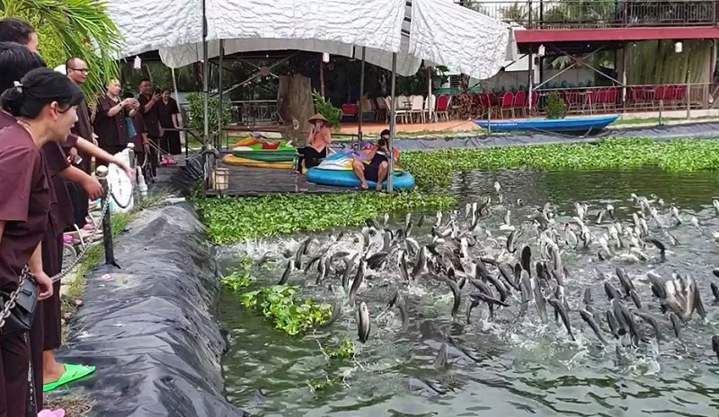 Review đi Du Lịch Cần Thơ 3 Ngày 2 Đêm Tự Túc Cần Thơ Hôm Nay