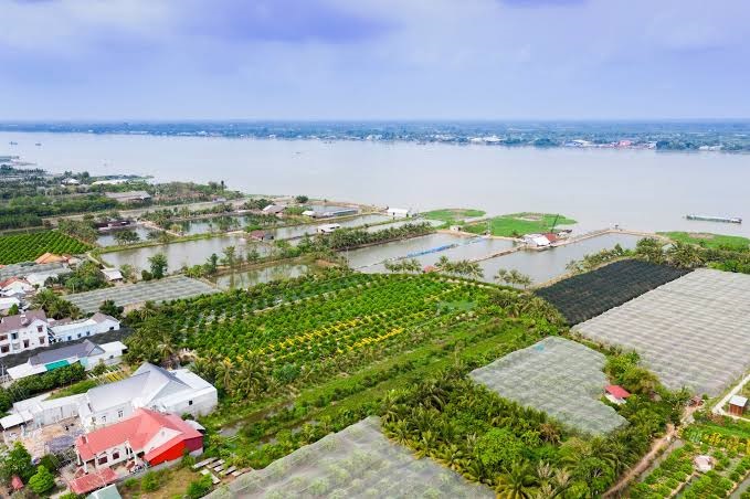 Một góc Phường Tân Lộc là xã đảo được công nhận - Cần Thơ Hôm Nay